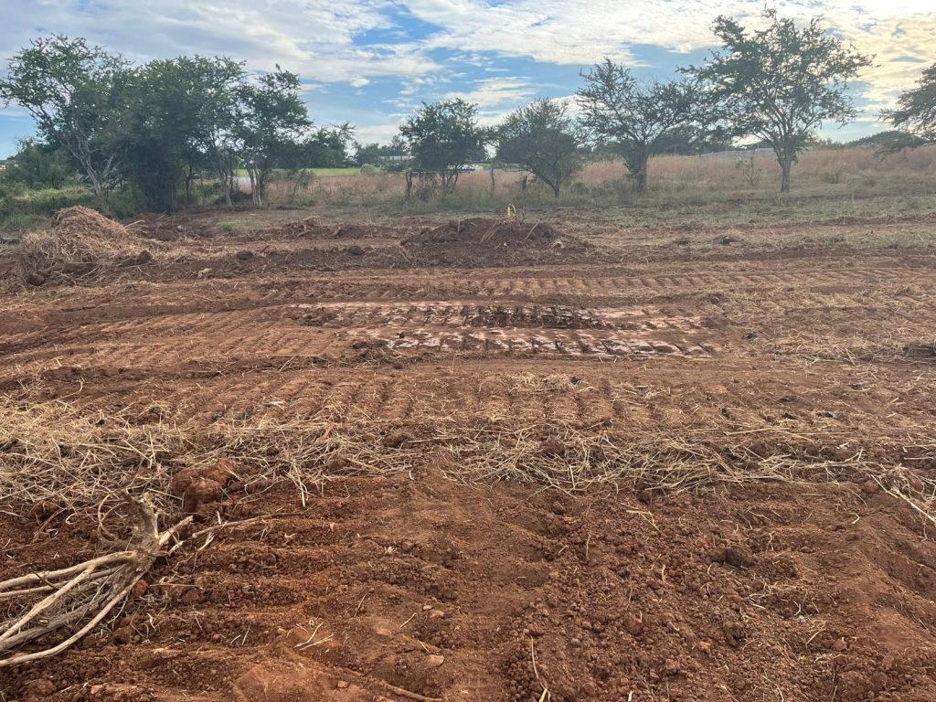 Obras realizadas dentro del desarrollo